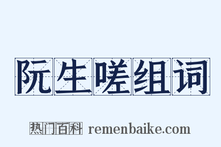 阮生嗟组词是什么意思的图片